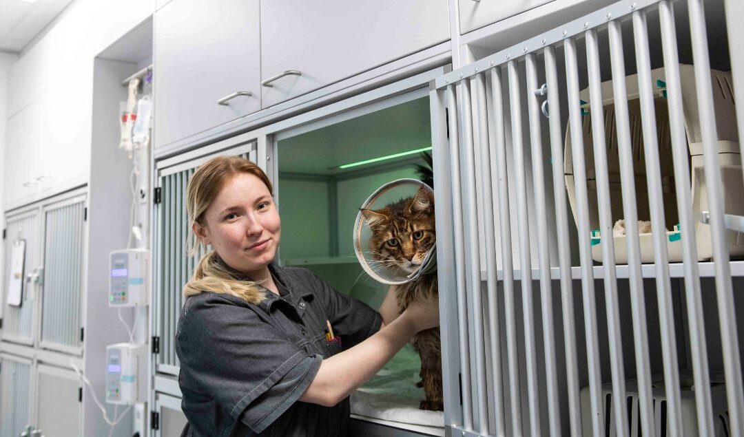 Cat nurse Lara rondt eerste fase van haar opleiding af