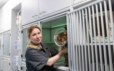 Cat nurse Lara rondt eerste fase van haar opleiding af